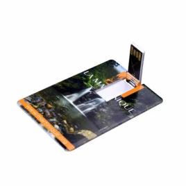 Promotional Card Pen Drive