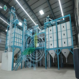 Color Sorting Equipment