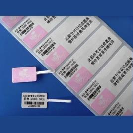 Multicolor Hard Paper Apparel Tags