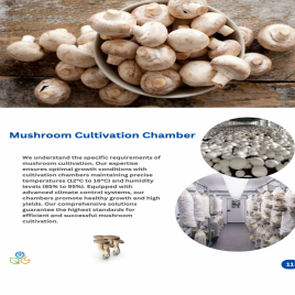 Stainless Steel Mushroom Growing Enclosure