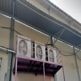 Mushroom Cultivation Cold Chamber