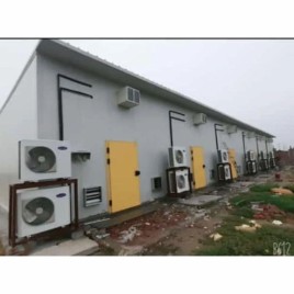 Mushroom Cultivation Chamber