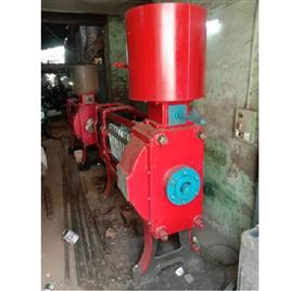 Mustard Oil Extraction Machine