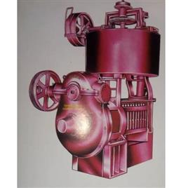 Commercial Mustard Oil Expeller