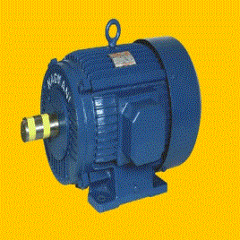 Nagmani AC Motor