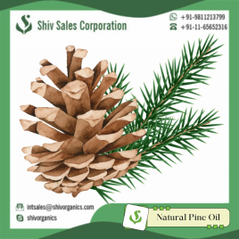 Natural Pine Oil, 25kg Packaging