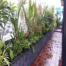 Natural Roof Garden Planting