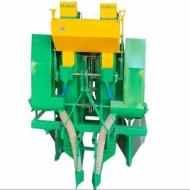 Natural Turmeric Processing Plant, Garden Use