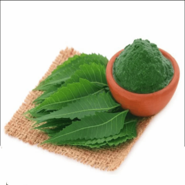Azadirachta Indica Neem Extract