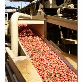 Flat Food Conveyor Belt