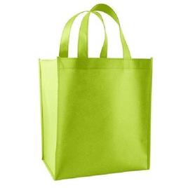 Foldable Non Woven Bag