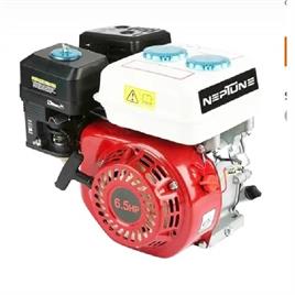 Neptune NPE 168S Petrol Pump