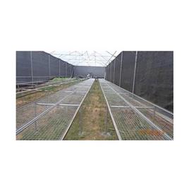 Seedling Hardening Chamber