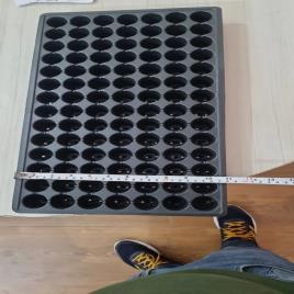 Electric Nursery Tray Manufacturing Machine