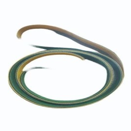 Nylon Flat Industrial Belt