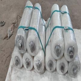 Nylon Conveyor Roller
