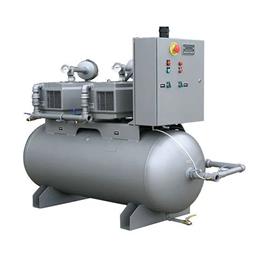 Oil-Free Reciprocating Air Machine