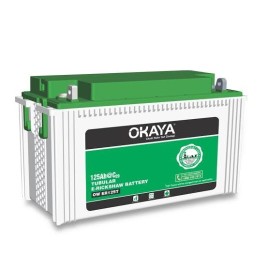 Okaya 140 Ah E Rickshaw Power Battery
