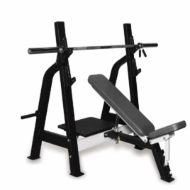 Olympic Multi Purpose Bench