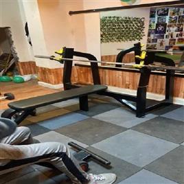 Olympic Decline Training Bench