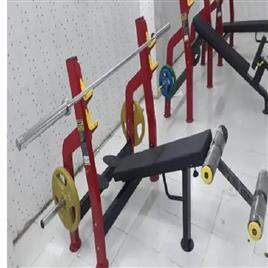 Olympic Decline Workout Bench