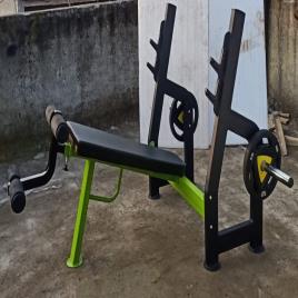 Iron Multipurpose Gym Bench