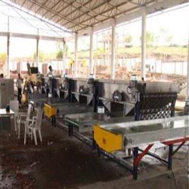 MS Onion Grading Equipment