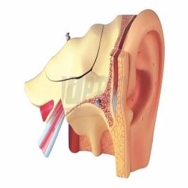 OPTEC Fiber Human Ear Model, Standard Size