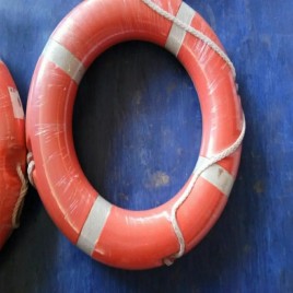 Swimming Pool Lifebuoy