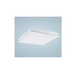 Ceramic 36W B22 Clean Room Fitting