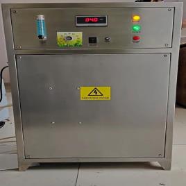 Ozone Generator for Pools