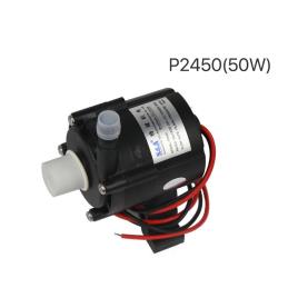 P2450 DC Water Pump
