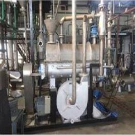 Automatic Sludge Paddle Dryer