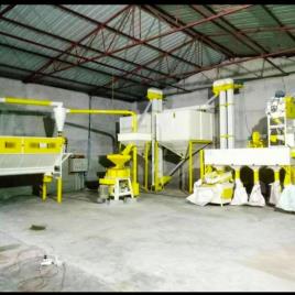 Automated Industrial Maize Plant
