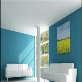 Painting and Polishing Service