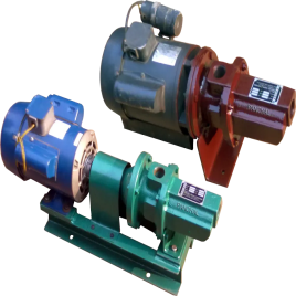 Panchal Residential PD Pump