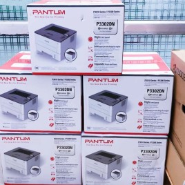 Pantum P3302 Laser Printer
