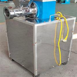 Industrial Pasta Machine