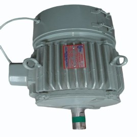 Pavitra Industrial Motor