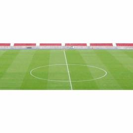 PE Artificial Landscaping Grass for Outdoor Use