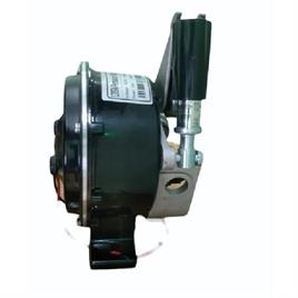 PMDC Motor