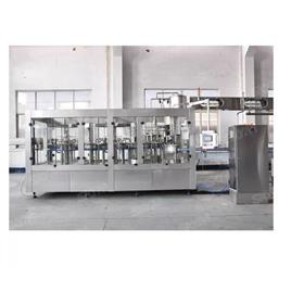 Automatic PET Bottle Bottling Machine