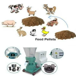 Poultry Feed Plant Machine
