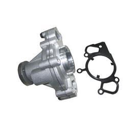 Petrol Driven Car Water Pump