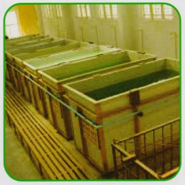 Industrial Phosphating Tank