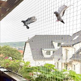 Polyethylene Pigeon Net