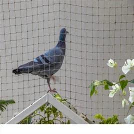Bird Repellent Net