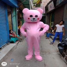 Pink Plain PVC Animals Mascot Costume