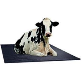 Plain Rubber Farm Mat