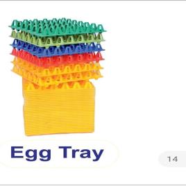 PP Plastic Egg Tray